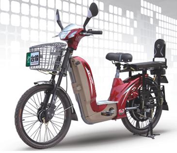 TailG TDL110z Electric Bike